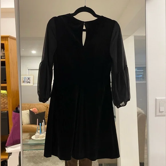 BCBG dress. Velvet and sheer. NEVER BEEN WORN - Picture 4 of 8